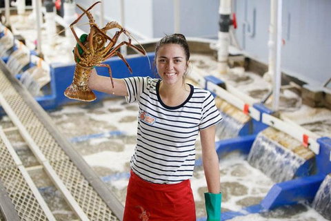 Pinnacles Desert, Koalas And Sandboarding 4WD Day Tour From Perth - Food Delivery Shop 0