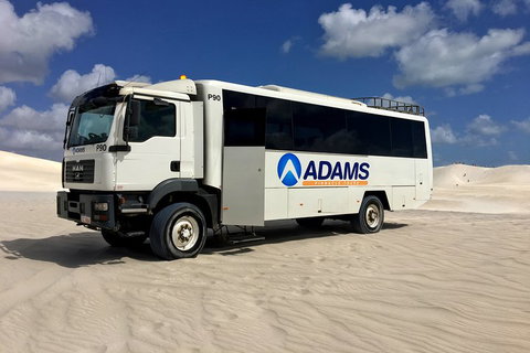 Pinnacles Desert, Koalas And Sandboarding 4WD Day Tour From Perth - Food Delivery Shop 2