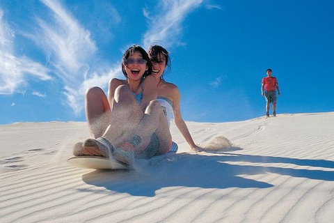 Pinnacles Desert, Koalas And Sandboarding 4WD Day Tour From Perth - Food Delivery Shop 3