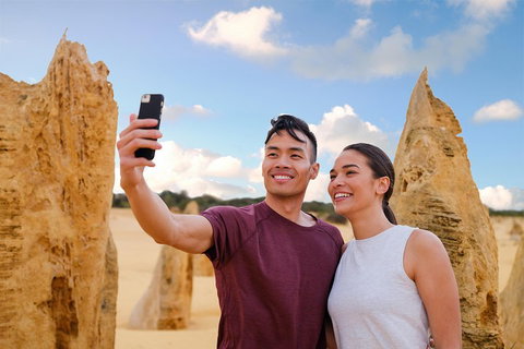 Pinnacles Desert, Koalas And Sandboarding 4WD Day Tour From Perth - Food Delivery Shop 4