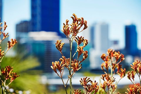 Best Of Perth Wildflower Season Day Trip - Food Delivery Shop 4