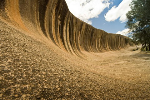 2-Day Wave Rock, York, Wildflowers & Aboriginal Experience - Food Delivery Shop 1