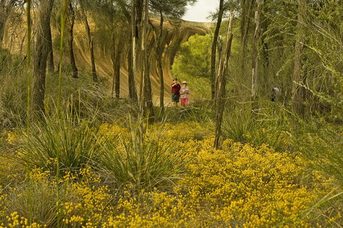2-Day Wave Rock, York, Wildflowers & Aboriginal Experience - Food Delivery Shop 2