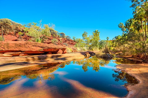 7-Day Guided Tour Of Alice Springs With Accommodation Included - Food Delivery Shop 1