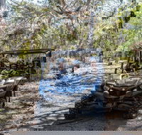 Small-Group Buggy Tour at Little Sahara with Guide - Food Delivery Shop