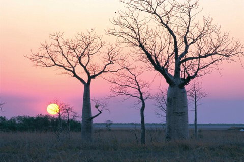 8-Day Outback Experience From Queensland - Food Delivery Shop 5