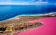 Pink Lake Small-Group Buggy Tour - thumb 0
