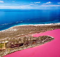 Pink Lake Small-Group Buggy Tour - Food Delivery Shop