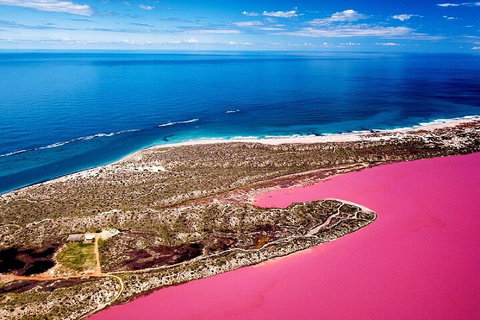Pink Lake Small-Group Buggy Tour - Food Delivery Shop 0