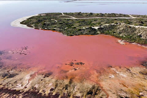 Pink Lake Small-Group Buggy Tour - Food Delivery Shop 2