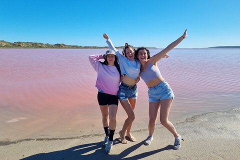 Pink Lake Small-Group Buggy Tour - Food Delivery Shop 3