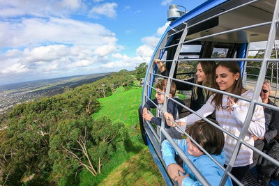 Peninsula Hot Springs tour with restaurant lunch  gondola ride