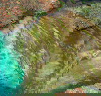 Fly The Falls Tour - Food Delivery Shop