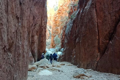 West MacDonnell Private Tour With Transfer - Food Delivery Shop 0