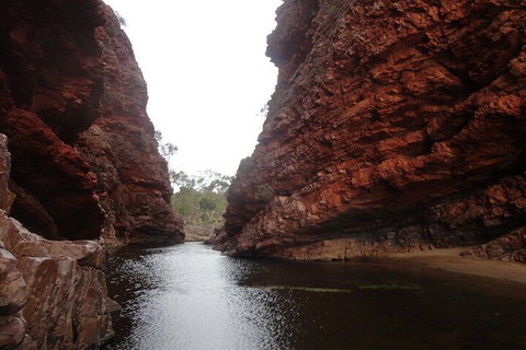 West MacDonnell Ranges Half - Day Tour - Food Delivery Shop 4