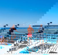 Calypso Outer Great Barrier Reef Cruise from Port Douglas - Food Delivery Shop