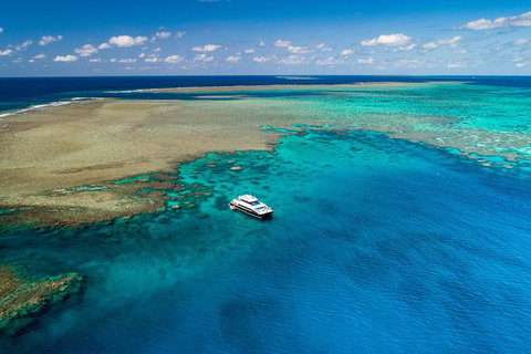 Calypso Outer Great Barrier Reef Cruise From Port Douglas - Food Delivery Shop 1