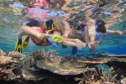 Calypso Outer Great Barrier Reef Cruise From Port Douglas - Food Delivery Shop 3