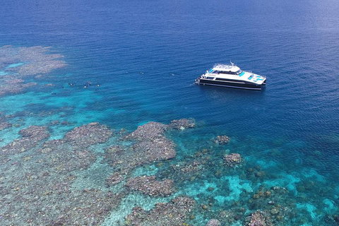 Calypso Outer Great Barrier Reef Cruise From Port Douglas - Food Delivery Shop 4