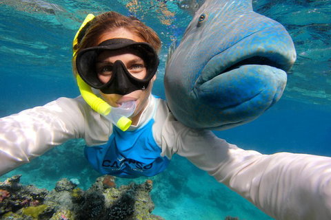 Calypso Outer Great Barrier Reef Cruise From Port Douglas - Food Delivery Shop 5