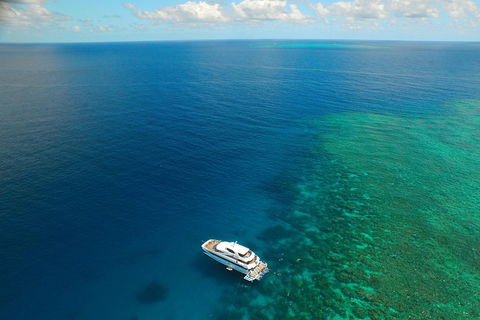 Great Barrier Reef Snorkeling And Diving Cruise From Cairns - Food Delivery Shop 4