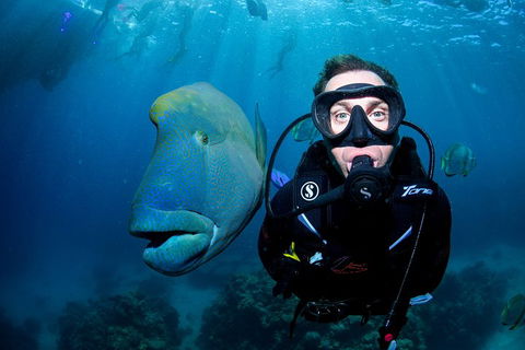 Full Day Reef Cruise Including 10 Minute Heli Scenic Flight: Get High Package - Pet Food Australia 1