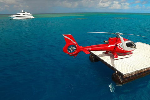 Full Day Reef Cruise Including 10 Minute Heli Scenic Flight: Get High Package - Pet Food Australia 3