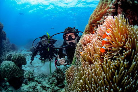 Full Day Reef Cruise Including 10 Minute Heli Scenic Flight: Get High Package - Pet Food Australia 5