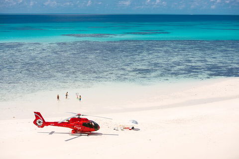 Private Helicopter Tour: Reef Island Snorkeling And Gourmet Picnic Lunch - Food Delivery Shop 2