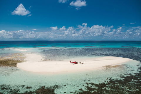 Private Helicopter Tour: Reef Island Snorkeling And Gourmet Picnic Lunch - Food Delivery Shop 4