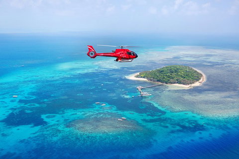 Fly To Green Island - Cruise Return - Food Delivery Shop 3