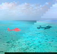 Port Douglas Scenic Flights - Food Delivery Shop