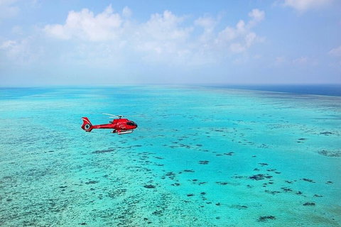 Great Barrier Reef 30-Minute Scenic Helicopter Tour From Cairns - Food Delivery Shop 2