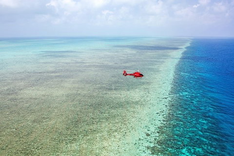 Great Barrier Reef 30-Minute Scenic Helicopter Tour From Cairns - Food Delivery Shop 5