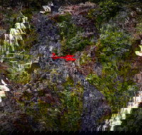 Ultimate Great Barrier Reef and Rainforest 45-minute Helicopter Tour - Food Delivery Shop