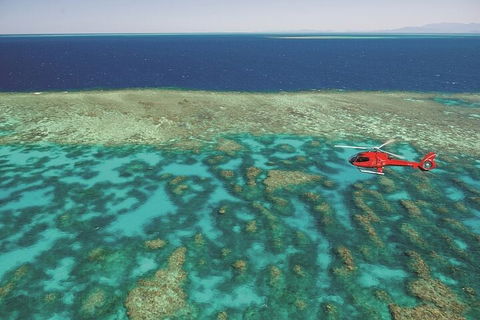Ultimate Great Barrier Reef And Rainforest 45-minute Helicopter Tour - Pet Food Australia 1