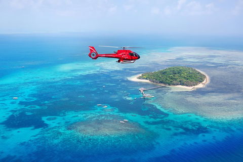 Ultimate Great Barrier Reef And Rainforest 45-minute Helicopter Tour - Pet Food Australia 4