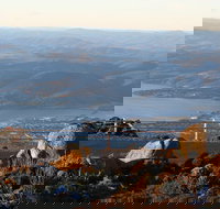 Mt. Wellington Bonorong and Richmond Day Tour from Hobart - Pet Food Australia