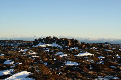 Mt. Wellington, Bonorong And Richmond Day Tour From Hobart - Food Delivery Shop 5