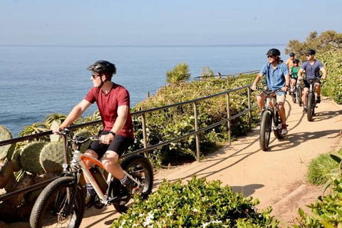 Experience E-bike At Byron Bay - Pet Food Australia 1
