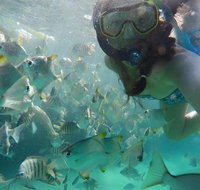 2-Day Moreton Island 4WD Camping Tour from Brisbane - Food Delivery Shop