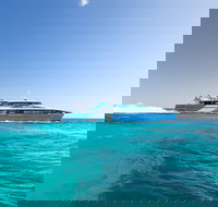 Rottnest Island Bike Snorkel  Ferry Package from Fremantle - Pet Food Australia