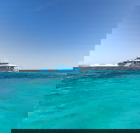 Rottnest Island Fortress Adventure Segway Package from Fremantle - Pet Food Australia