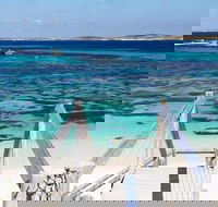 Perth to Rottnest Island Roundtrip Ferry Ticket - Pet Food Australia