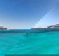 Rottnest Island Bayseeker Day Trip from Perth - Pet Food Australia