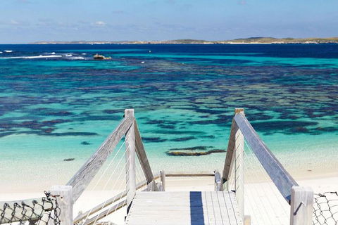 Rottnest Island Bayseeker Day Trip From Perth - Pet Food Australia 3