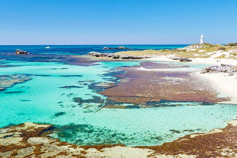 Rottnest Island Bayseeker Day Trip From Perth - Pet Food Australia 4