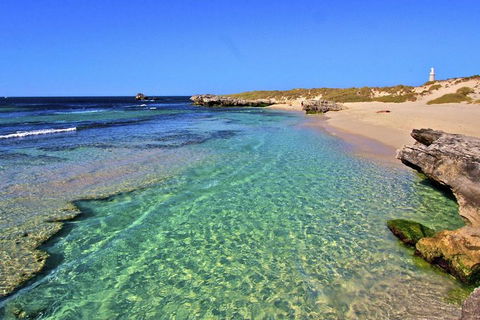 Rottnest Island Bayseeker Day Trip From Perth - Pet Food Australia 5