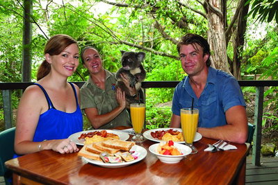Breakfast with the Koalas at Hartley's Crocodile Park from Cairns or Palm Cove