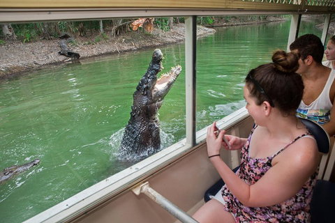 Breakfast With The Koalas At Hartley's Crocodile Park From Cairns Or Palm Cove - Food Delivery Shop 4